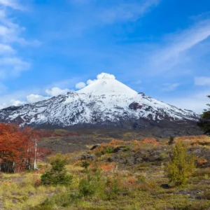 Villarrica – Huilo Huilo – Termas Pellaifa